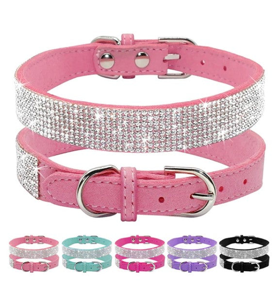 Studded Collar PetChique